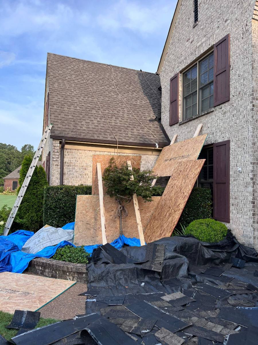 Shrub beds covered with tarps and plywood during a Collierville TN re-roof